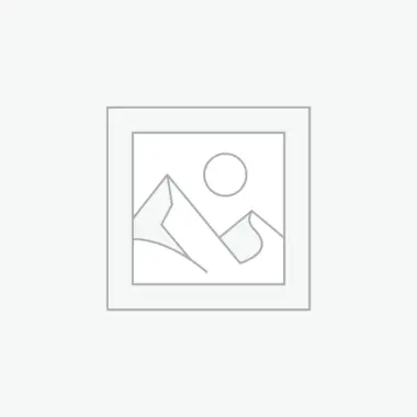 Frankenstein Junkpile - Born for death